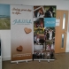 Printed Roller Banners