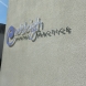 Endsleigh Dental Practice, Barnstaple, flat cut lettering with coloured vinyl face