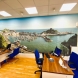 Printed wallpaper applied to office wall